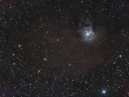 Bruno -D - NGC7023- IRIS - LRVB- 2019-09-03_stacked.jpg