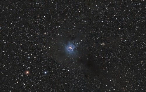 NGC7023 - L'iris