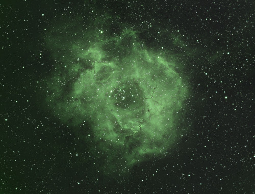 Rosette-SHO_H.jpg