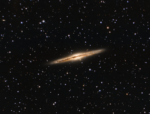 NGC891_B.jpg