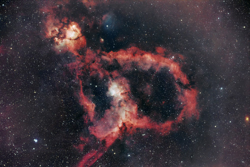 IC1805_New2.jpg
