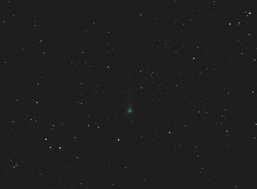 comete Leonard.jpg