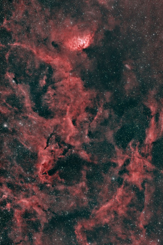 TulipNebulav1.jpg