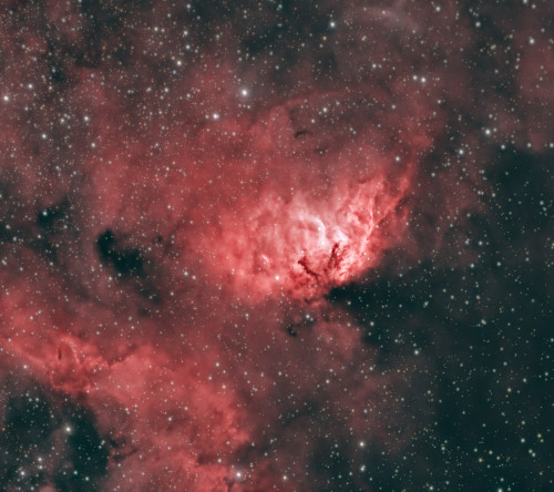 Zoom1.jpg