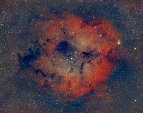 IC 1396 Traité Histo result_15600s.jpg