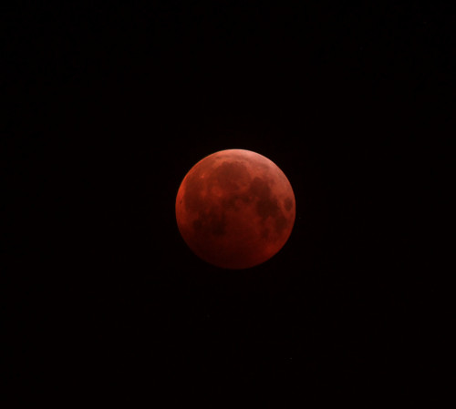 IMG_0182b.JPG