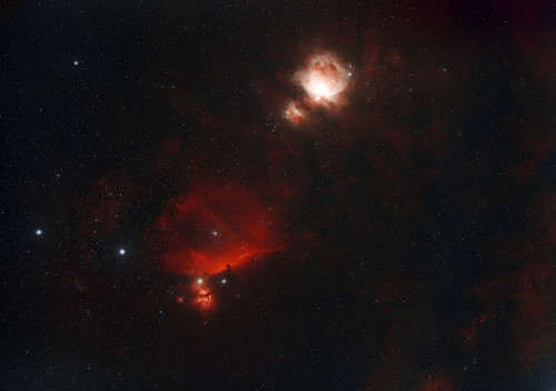 M42 Orion.jpg