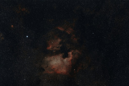 NGC 7000.jpg