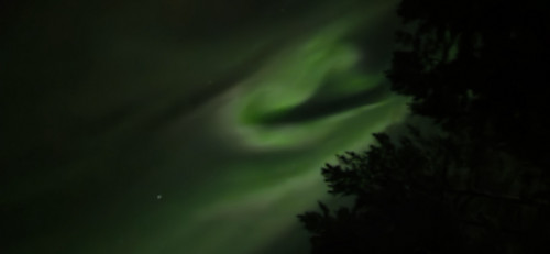 20250219_210459.jpg