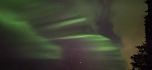 20250219_231843.jpg