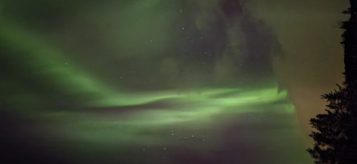 20250219_231950.jpg