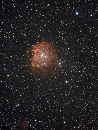 NGC2174_singe.jpg