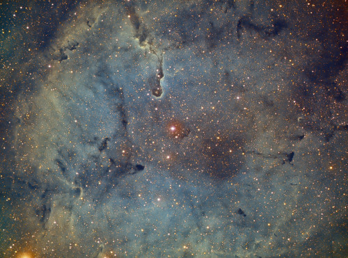 IC1393_H_SHO-V7_ImV2.jpg