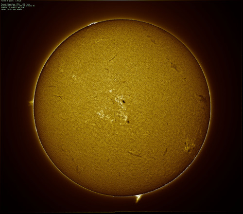 Sun_20251002_Ha ASI183MM_Protu+disque.jpg