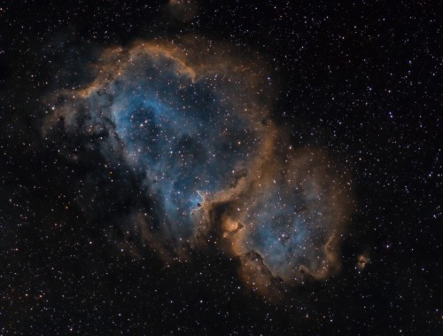 IC1848_L_SHO.jpg