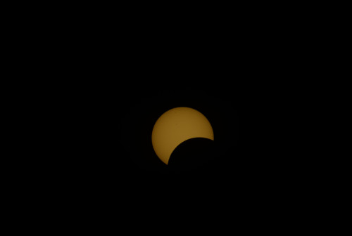 DSC_6396.jpeg