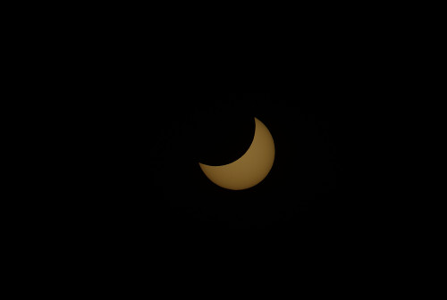 DSC_6541.jpeg