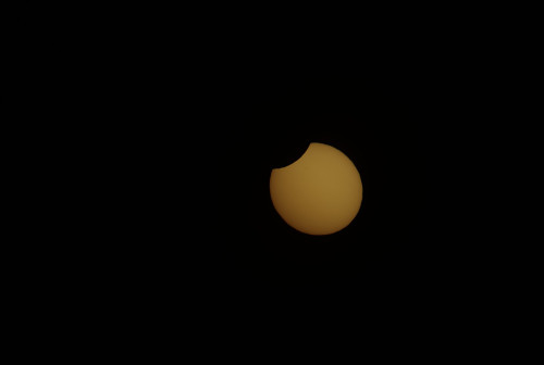 DSC_6597.jpeg