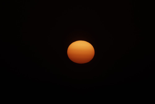 DSC_6613.jpg