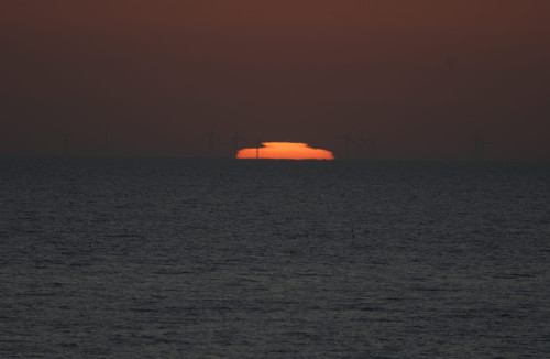 DSC_6628.jpg