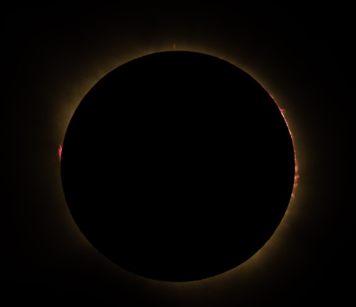 4dDSC00085_protus2.jpg