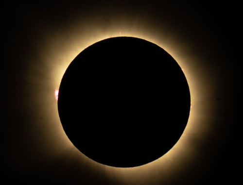 4aDSC00084_total.jpg