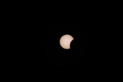 IMG_0003.jpg