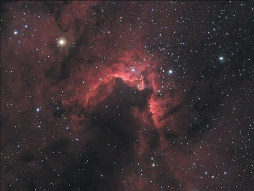 SH2155HARVB.jpg