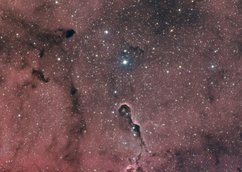 IC1396