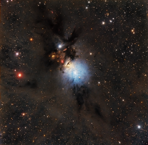 NGC1333 Finale PS crop adoucie.png