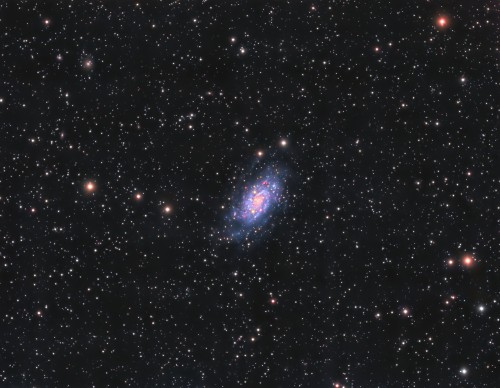 2018_03-04_NGC2403_small.jpg