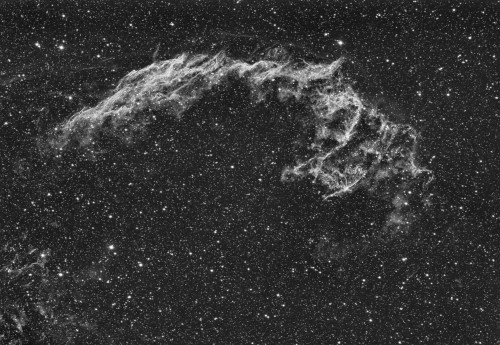 NGC 6995 FINAL2 hA.jpg