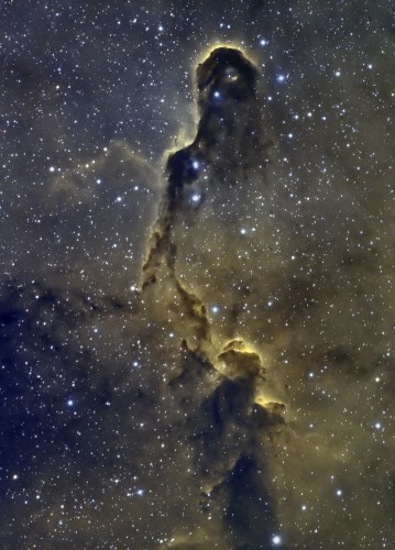 IC 1396 SHO.jpg