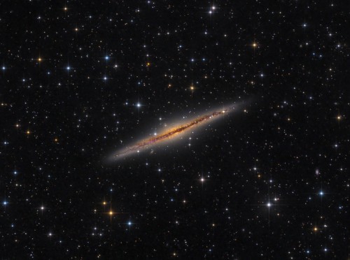 NGC891   V10 crop 4.jpg