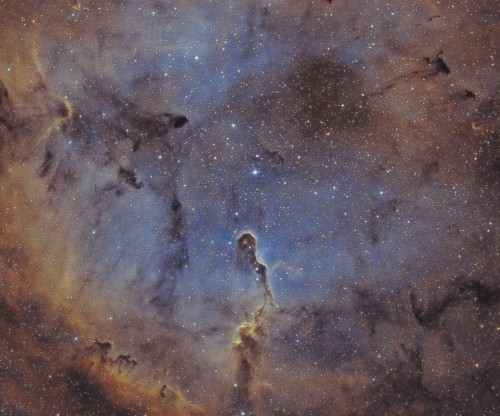 IC1396