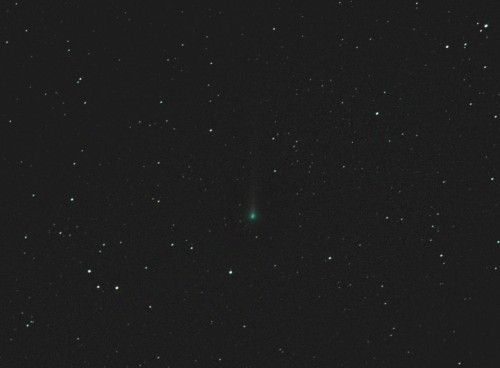 comete Leonard.jpg