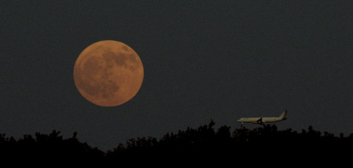 Lune Fraise avec avion3.jpg