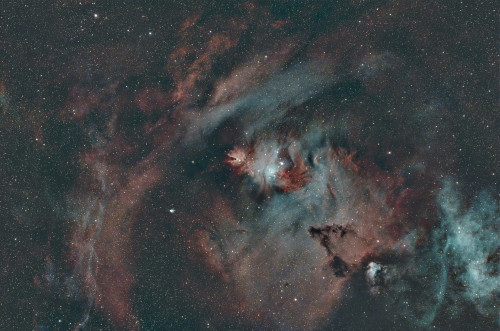 NGC2264.jpg