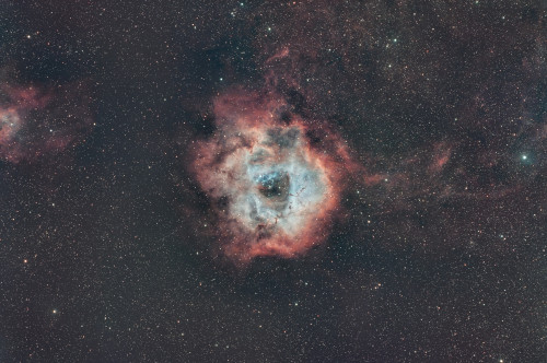 Rosette avec étoile.jpg