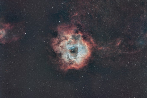 Rosette avec peu étoile.jpg