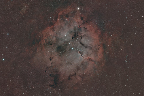 IC 1396.jpg