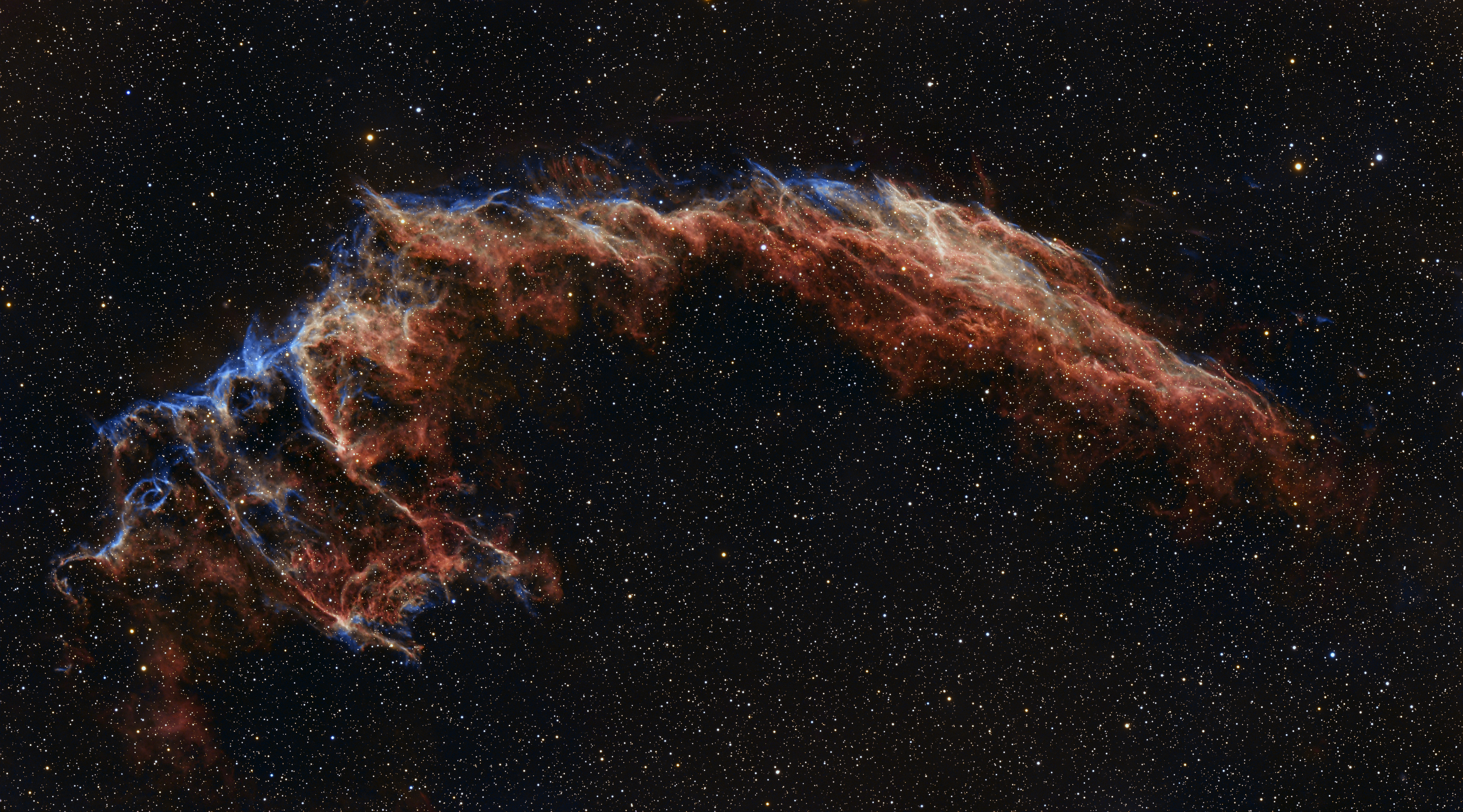 C33_TS90_585MC.jpg